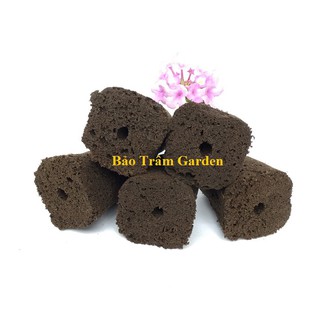 Set 5 mút ươm hữu cơ nhập khẩu Mỹ chuyên ươm hạt, giâm cành. ươm kie phong lan