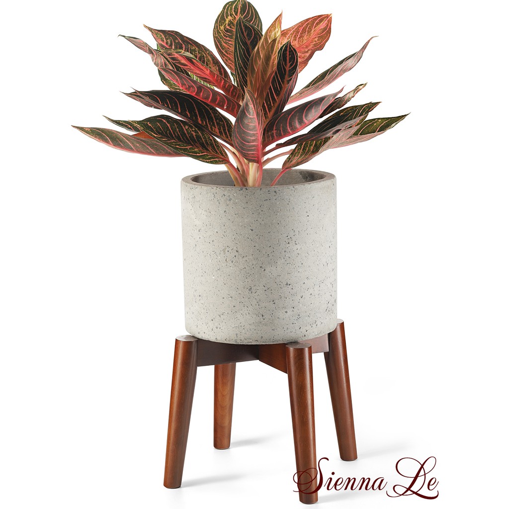 Sienna Le Giá Đỡ Chậu Cây, Đôn Gỗ Để Chậu Hoa Để Bàn - Cao 19 cm x Rộng 24 cm  ko