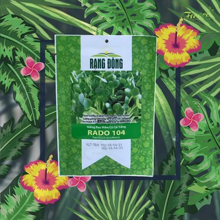 HẠT GIỐNG RAU MẦM CỦ CẢI TRẮNG