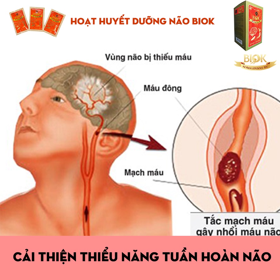 Hộp To Nước Uống Hoạt Huyết Dưỡng Não BIOK, Giúp Tăng Cường Tuần Hoàn Máu Não