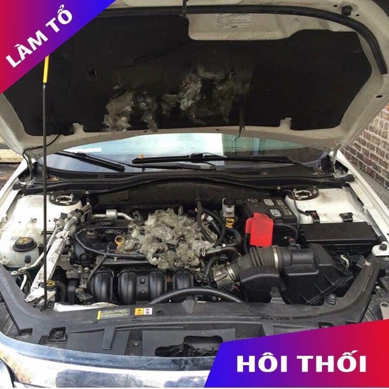Tinh dầu chống chuột khoang máy ô tô