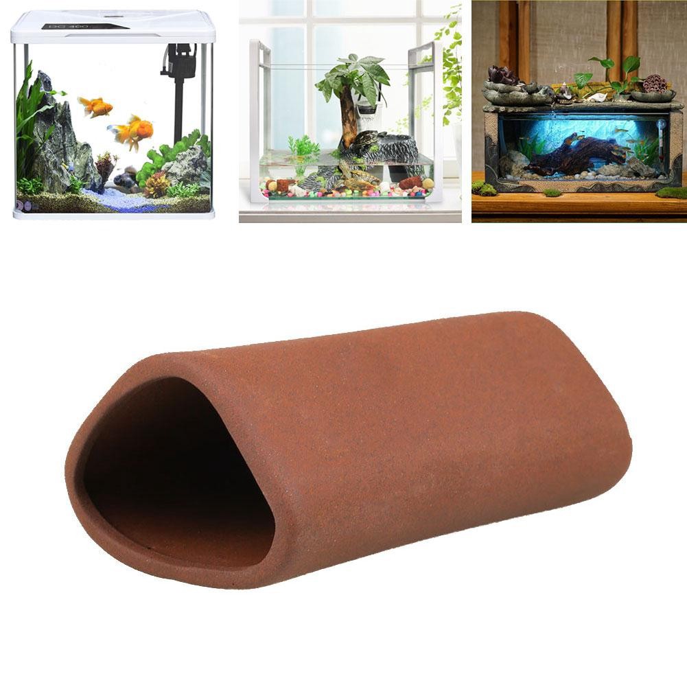 Phụ kiện hỗ trợ bế cá cảnh