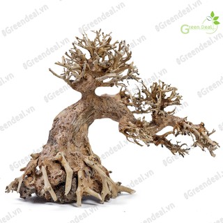 Bonsai Driftwood (GH-BSR/22) | Lũa Bonsai trang trí hồ cá thủy sinh