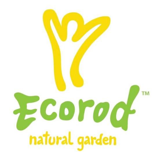 Bột mì nguyên cám hữu cơ Ecorod 1kg Organic Whole Wheat Flour