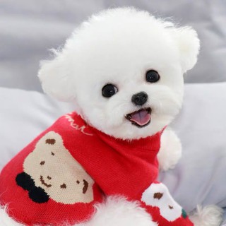 Áo len đỏ cho thú cưng