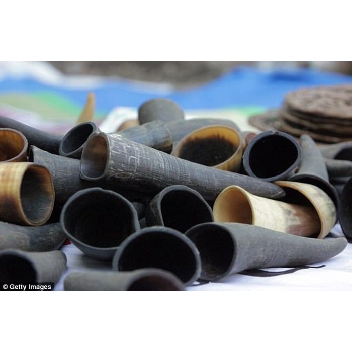 Dụng cụ giác hơi bằng sừng trâu tự nhiên