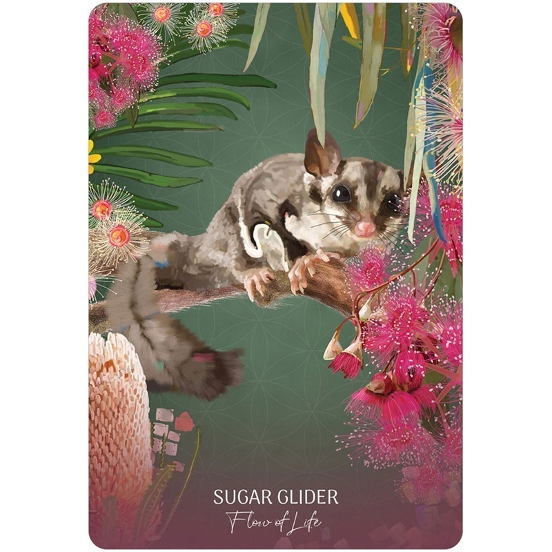 Bộ Bài Wild Wisdom Australia Oracle Cards (Mystic House Tarot Shop) - Bài Gốc Authentic Chính Hãng 100%