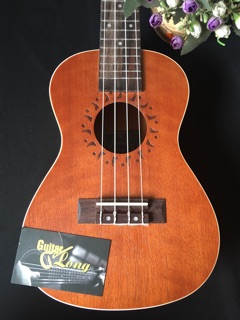Đàn Ukulele Concert HD800 CB2
