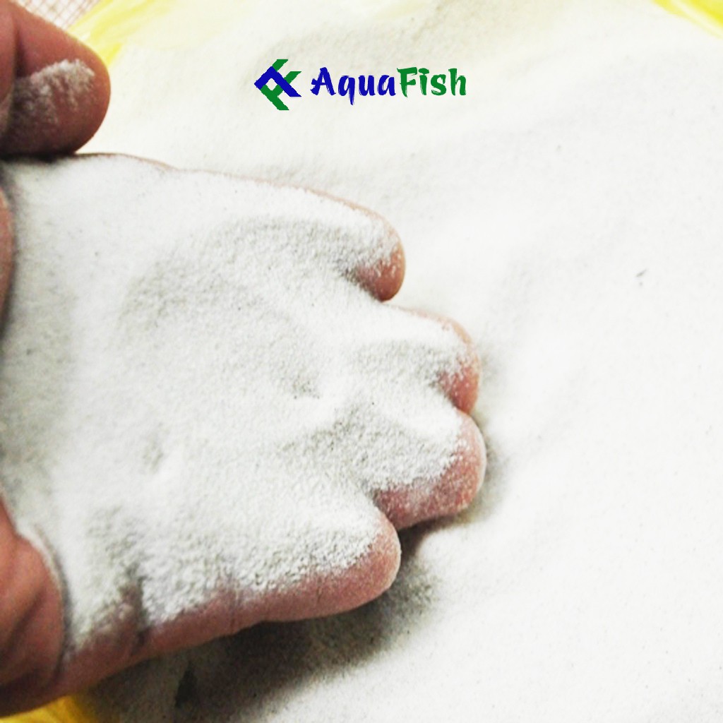 Cát Trắng Trang Trí Bể Cá Cảnh 1kg (cát trắng, đều và mịn)
