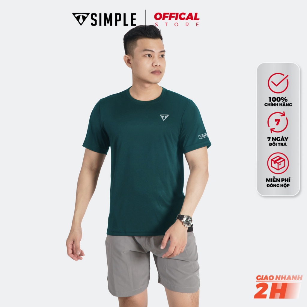 Áo Thể Thao Nam TSIMPLE cổ tròn tay ngắn tập gym vải thun lạnh thoáng mát co giãn chuẩn form MSSAHS | BigBuy360 - bigbuy360.vn