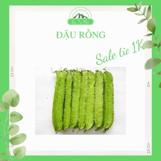 Hạt giống đậu rồng cao sản rado 02 rạng đông i ba tri nhỏ