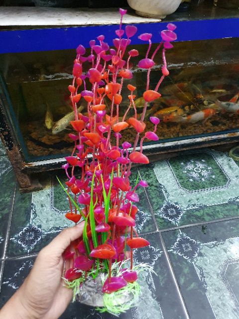 RONG GIẢ TRANG TRÍ HỒ CÁ NON BỘ CAO 35CM