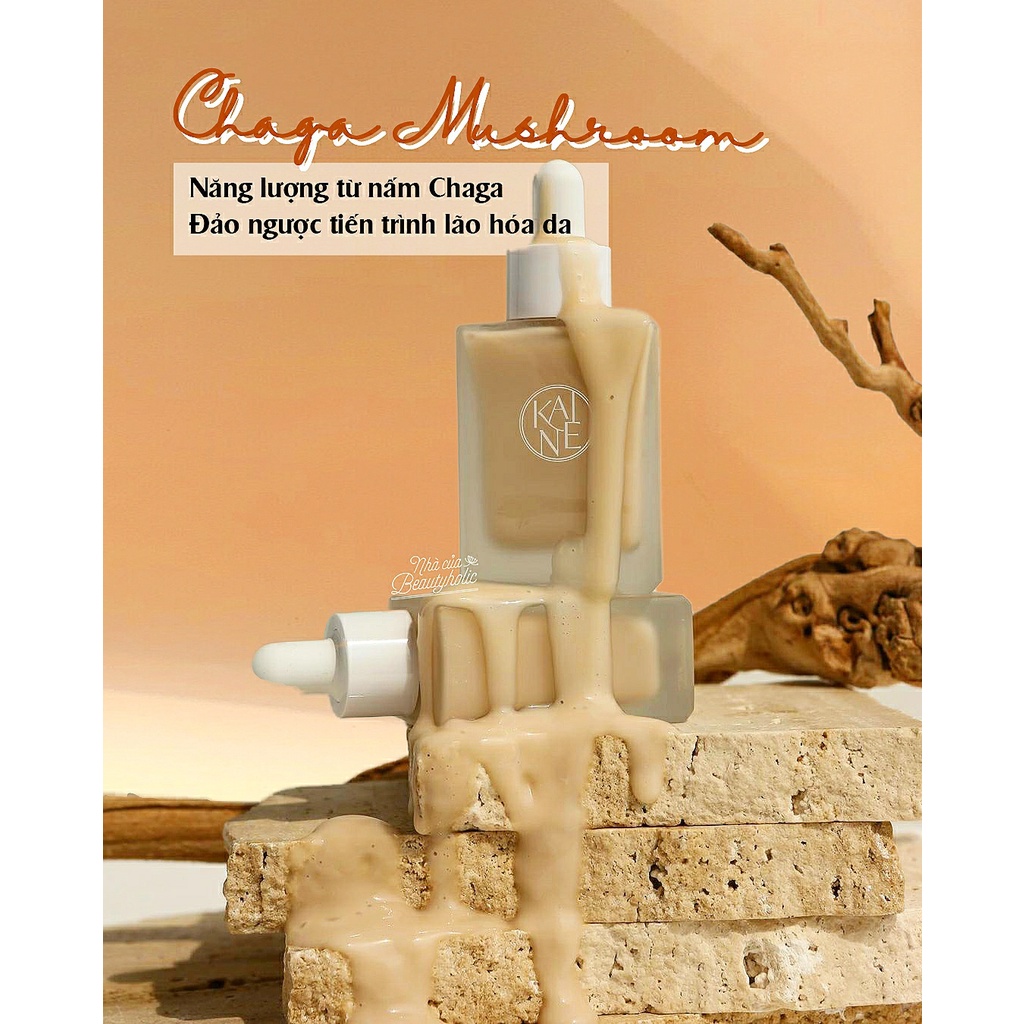 Serum nấm chaga thuần chay KAINE CHAGA COLLAGEN CHARGING SERUM