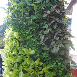 Trụ trồng rau tự lắp ráp