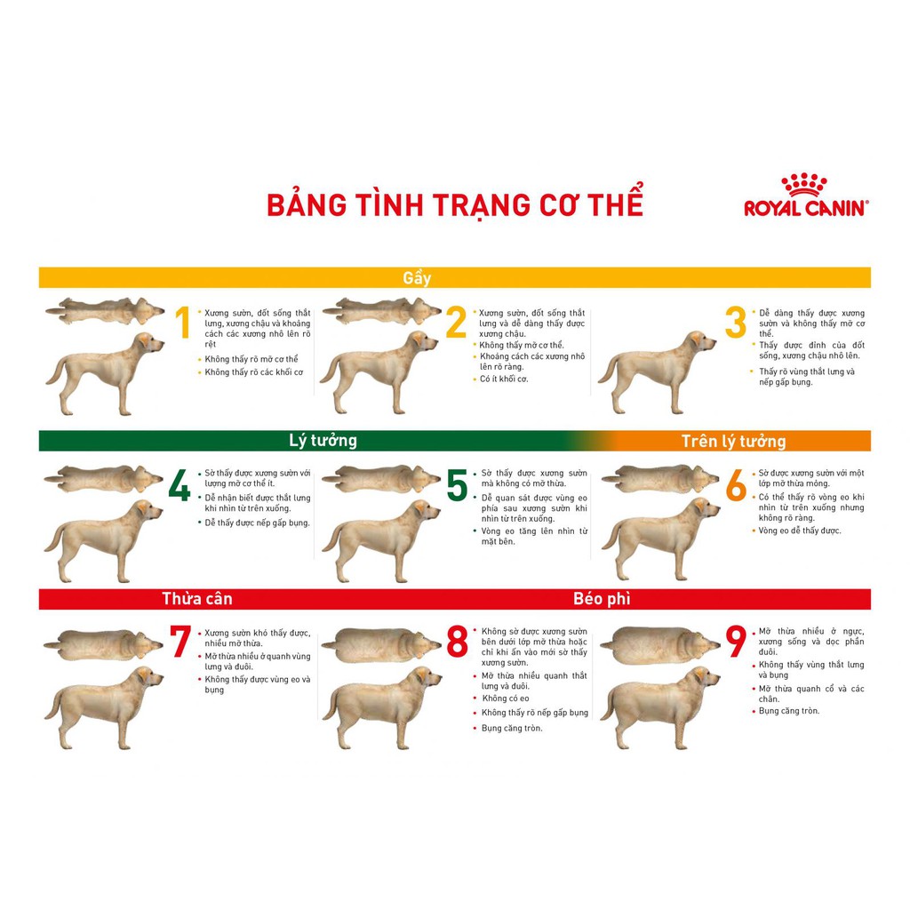 Thức ăn Hạt Khô Cho Chó bị tiểu đường - Thức ăn cho chó ROYAL CANIN DIABETIC CANINE bị tiểu đường 400g