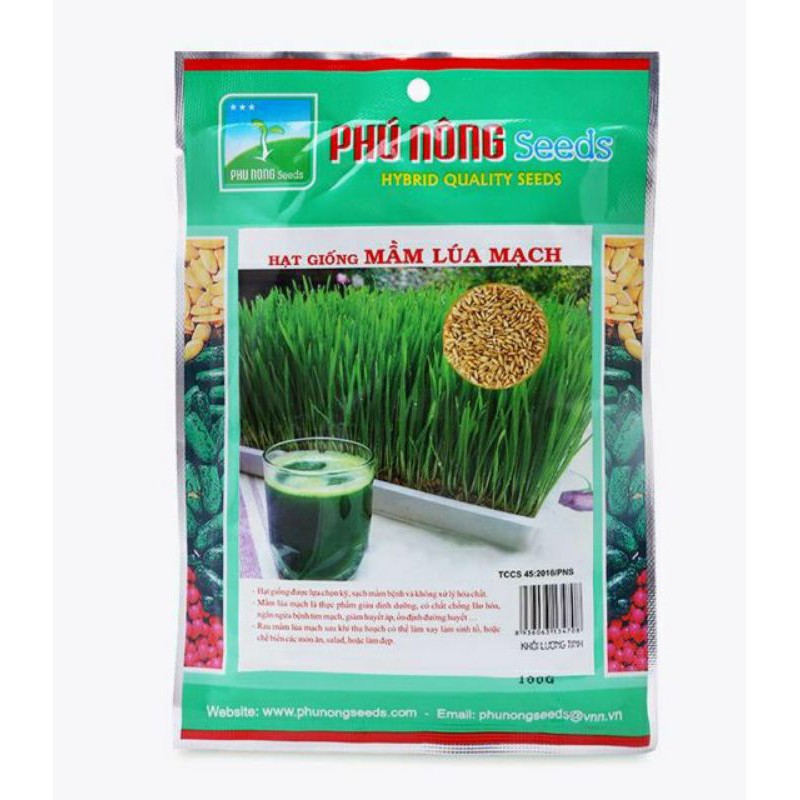 Hạt giống cỏ mèo 100g tỉ lệ nảy mầm cao, hàng cty đóng gói sẵn k san lẻ