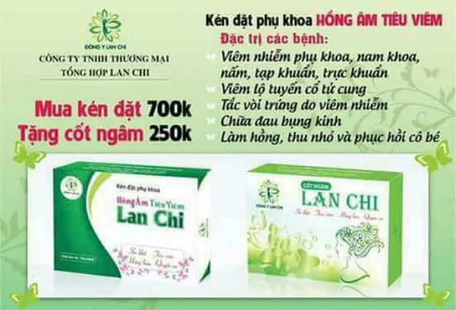 Hồng âm tiêu viêm của đông y lan chi