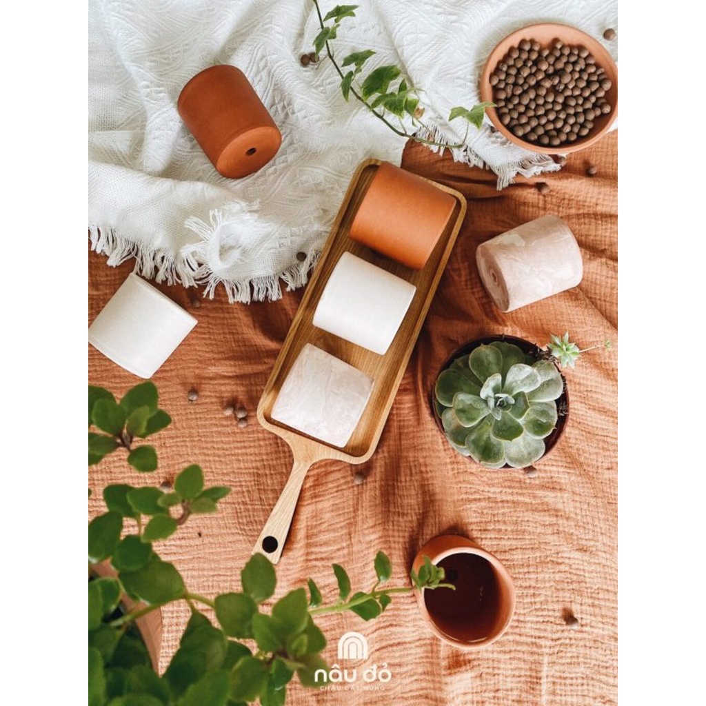 Chậu sứ cao cấp hình tô các màu - chậu trồng tiểu cảnh sen đá, xương rồng, cây phong thuỷ văn phòng