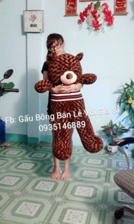 Gấu bông Teddy khổ 1m2