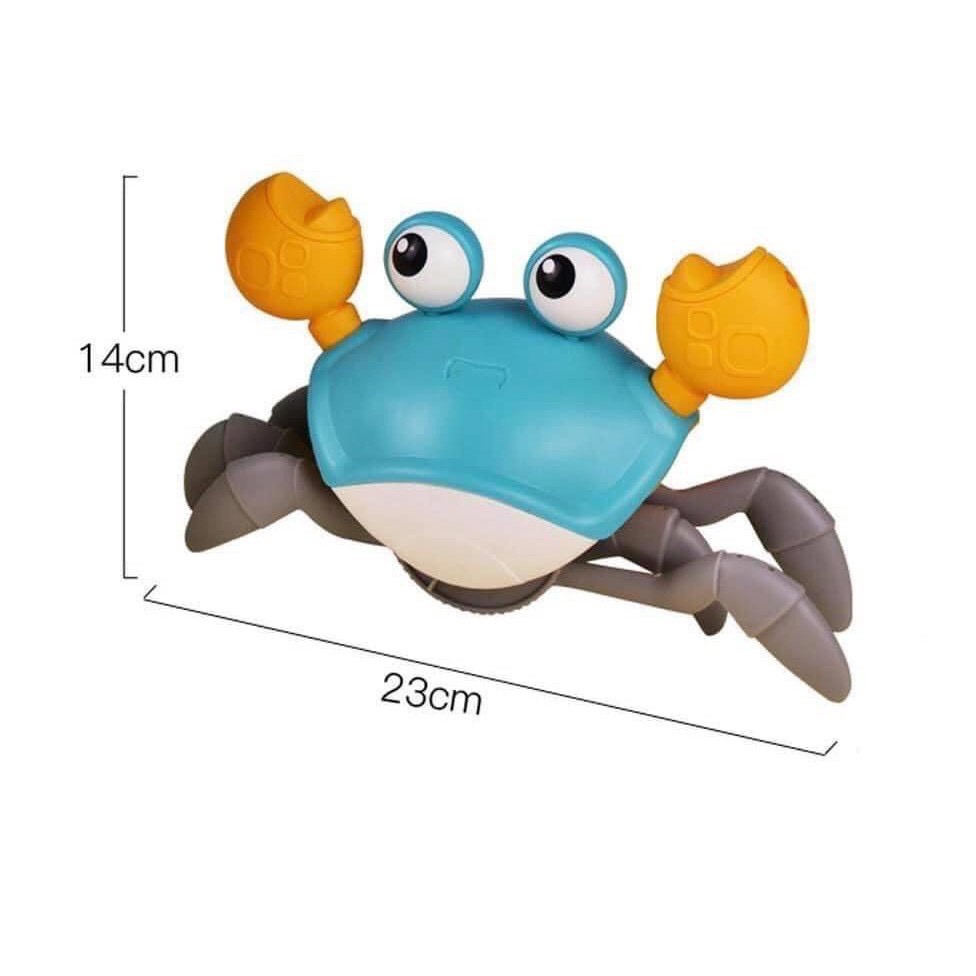 Đồ chơi cho bé cua bồn tắm