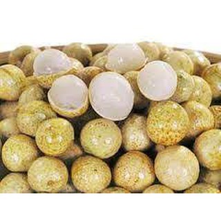 CÂY GIỐNG Nhãn Tiêu Da Bò (Siêu sớm, Siêu trái).