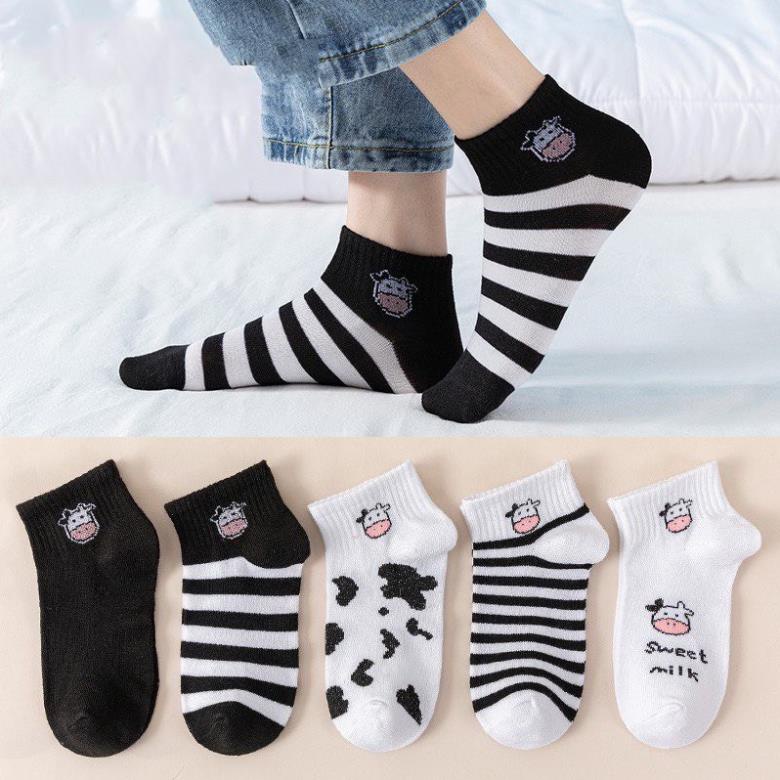 Tất Vớ thấp cổ Nam Nữ bò sữa ulzzang cotton cao cấp phong cách Hàn Quốc  tuixinh5555 TBS