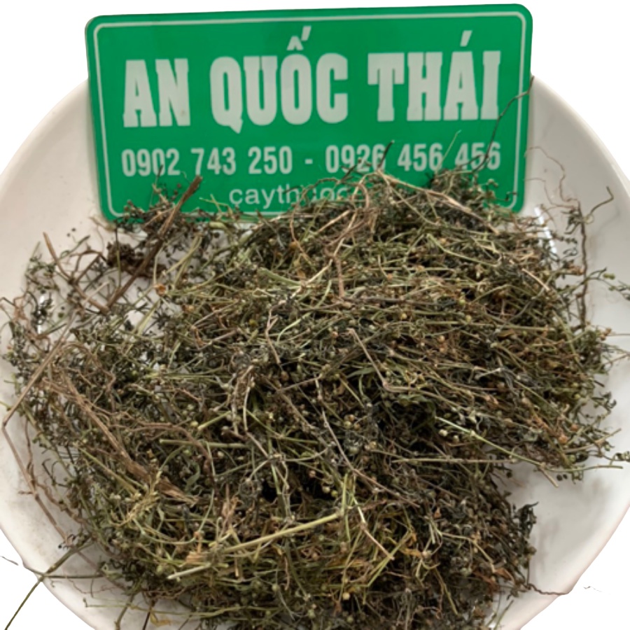 1kg Bạch Hoa Xà Thiệt Thảo Khô (Sạch, Mới) Tốt Cho Người Ung Thư