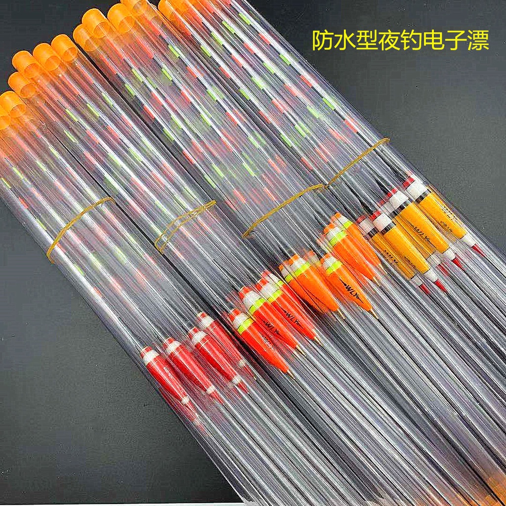 Phao điện dành cho câu đài có kèm pin