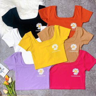 Áo bông cúc bozip cổ U ( HÌNH THẬT )