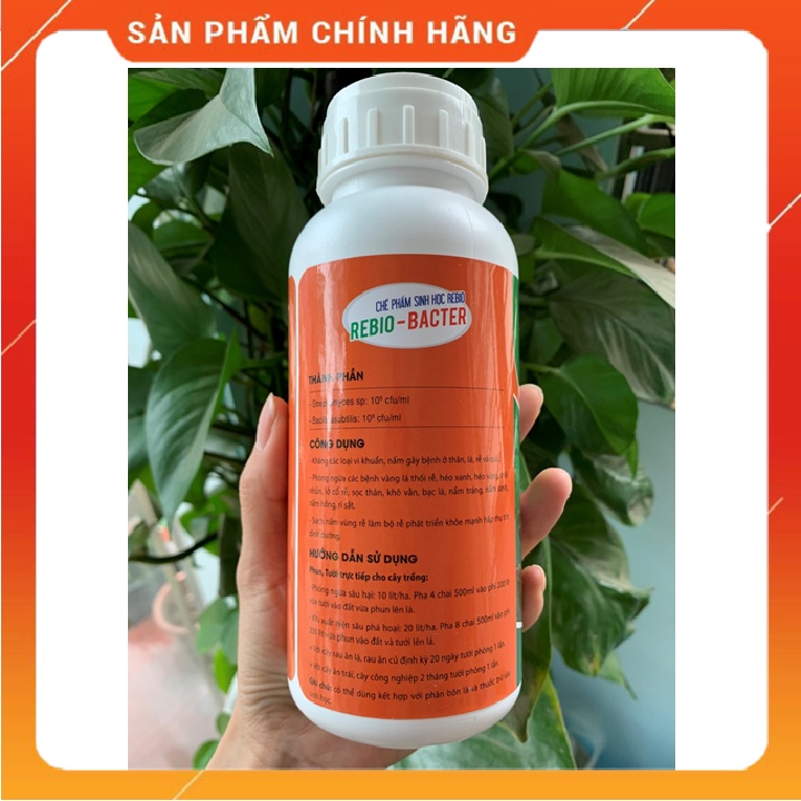 Chế phẩm 𝐑𝐄𝐁𝐈𝐎 𝐁𝐀𝐂𝐓𝐄𝐑 𝟓𝟎𝟎𝐦𝐥 Chuyên phòng ngừa bệnh hại cây trồng( thối rễ, héo xanh, thối nhũn, lở cổ rễ, sọc thân..)