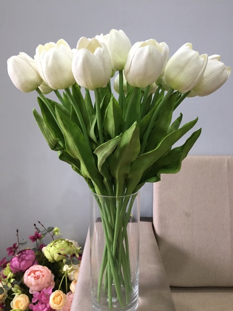 Hoa tulip - hoa cao su