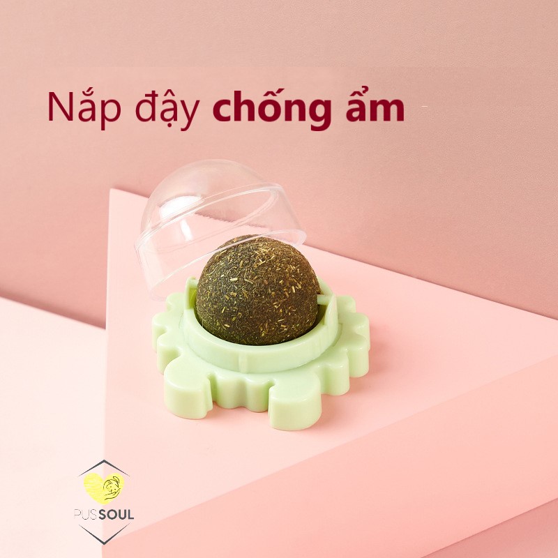 - Cỏ mèo dán tường  - Giảm STRESS, trị búi lông dạ dày mèo - Hình Cua nhỏ, Trái bơ