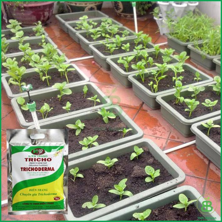 CHẾ PHẨM MEN VI SINH NẤM TRICHODERMA LOẠI 1KG