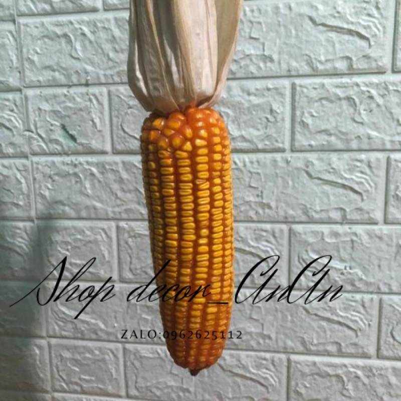 Combo 3 Trái bắp khô,Dây bắp ngô trang trí decor tết.trang trí mần non, decor quán cafe nhà hàng