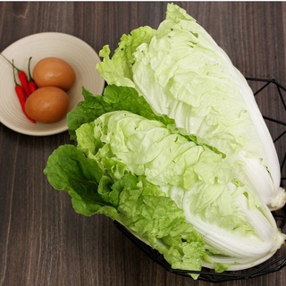 Hạt Giống Cải Bẹ Dún nhập khẩu