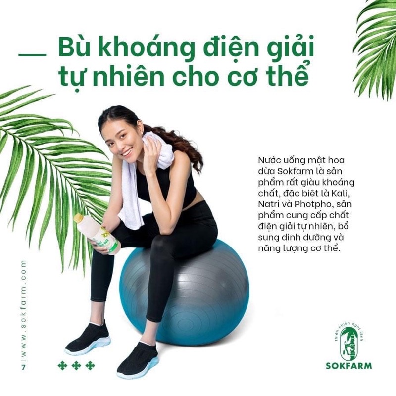 Nước Uống Mật Hoa Dừa Hữu Cơ SokFarm Bù Khoáng Bù Điện Giải - Xanhsam Organic