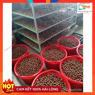 [HÀNG VIP] 500G Hạt Mắc ca Đắk Lắk - Macca ❋SIZE TO❋ Qủa Mac ca