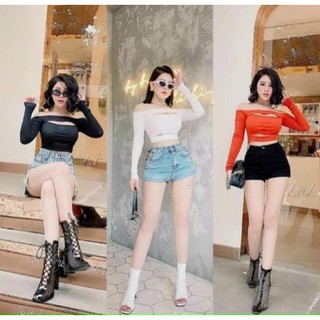 Áo croptop tay dài cut out hở ngực bẹt vai - B0T