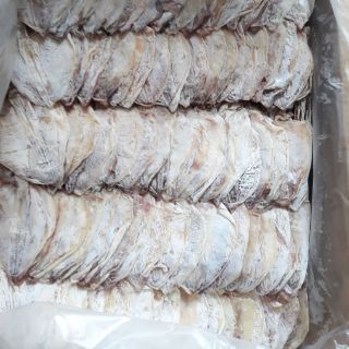 [500g] Mực khô Vân Đồn sz mini 100-120con/kg