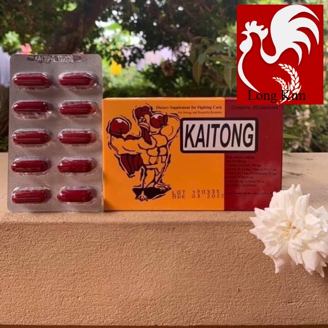KÍCH LỰC KAITONG Thái Lan Hộp 2 vỉ 20 viên Bổ sung dinh dưỡng, tăng cường cơ bắp cho gà trước đá 1 đến 2 tuần