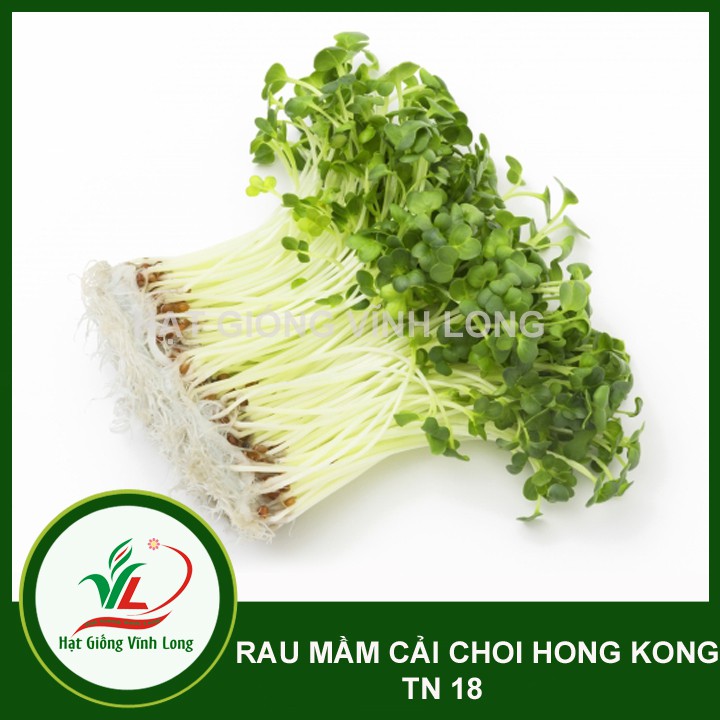 Hạt giống rau Mầm cải choi Hong Kong TN 18 - 20g