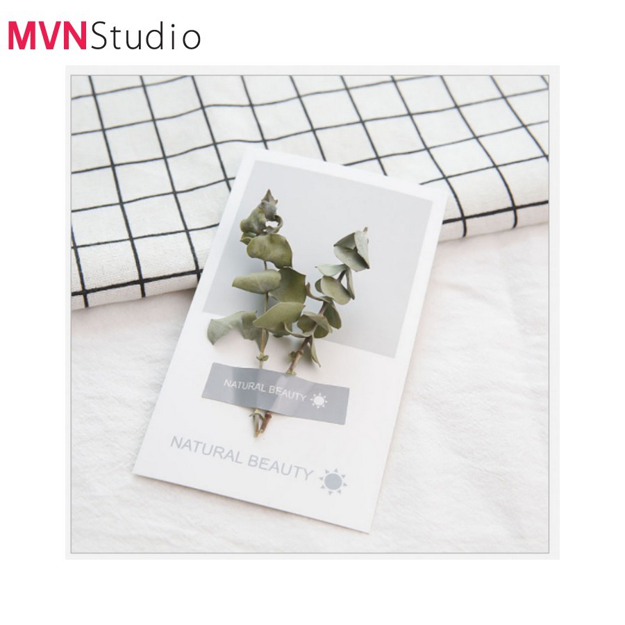 MVN Studio - 7 mẫu thiệp cây, hoa, lá khô phụ kiện trang trí đạo cụ chụp ảnh