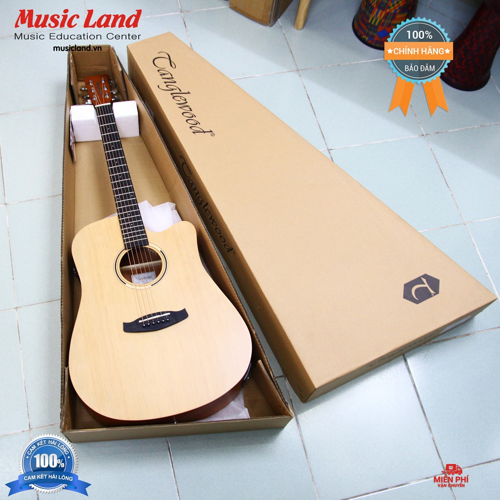 Đàn Guitar Acoustic TangleWood TWR2-DCE – Chính hãng