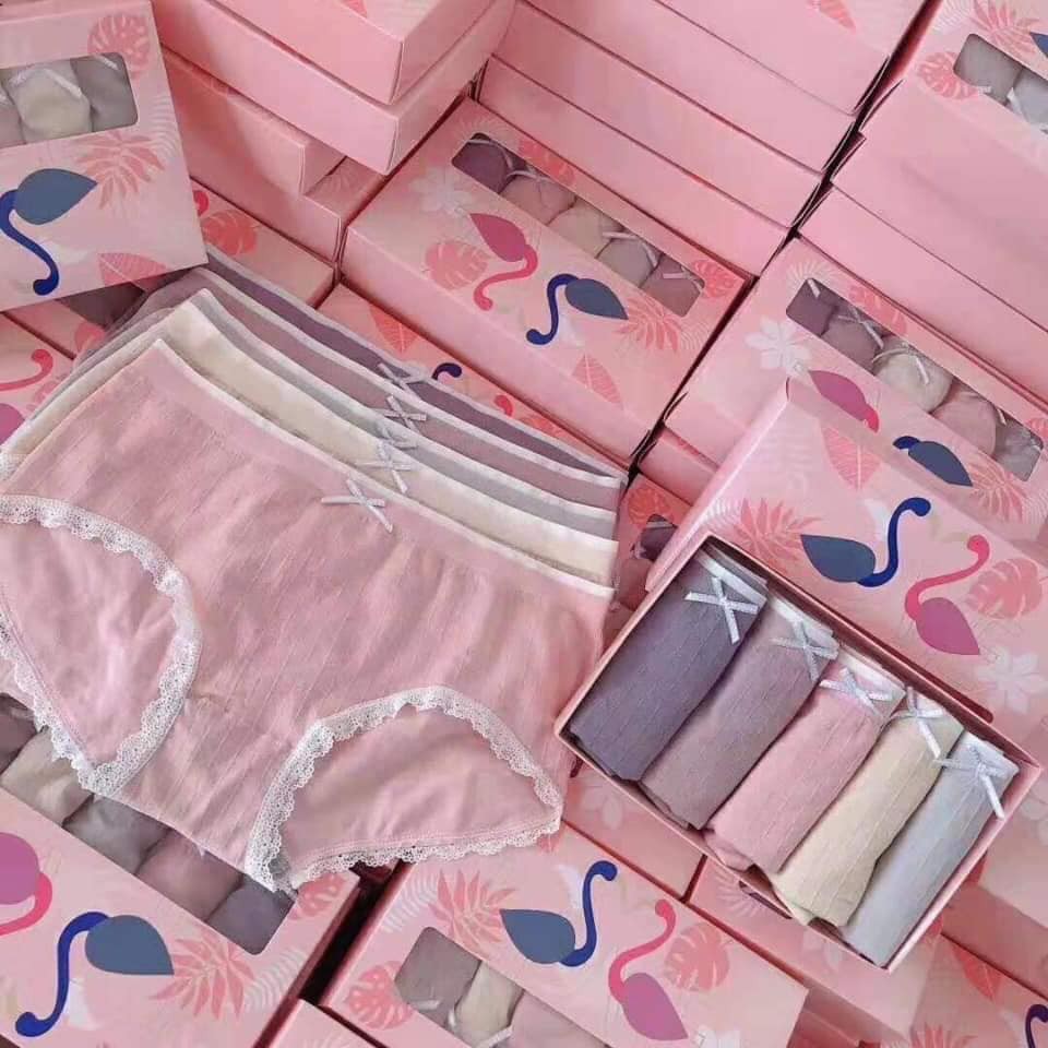 Hộp 5 quần lót cotton hạc hồng