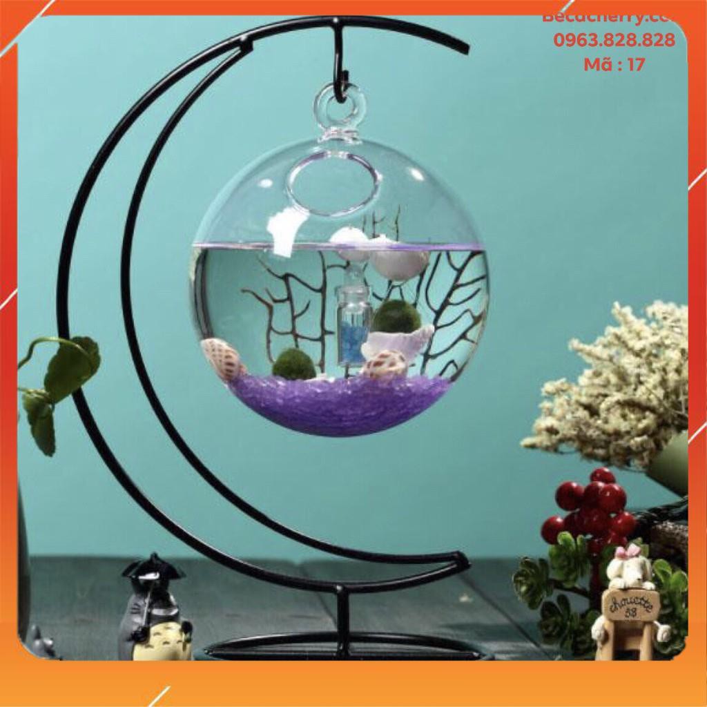 Bể cá mini cung trăng 17 ( tặng kèm phụ kiện trang trí ) | BigBuy360 - bigbuy360.vn