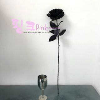Hoa hồng đen odre có sẵn , hoa hồng đen đẹp rẻ xinh chụp hình phong cách những cô gái huyền bí