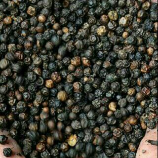 Sỉ giá gốc hạt tiêu 100g - 200g