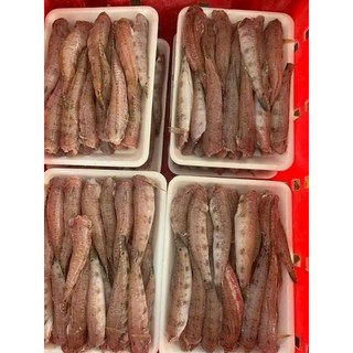 CÁ BỐNG BIỂN 500G