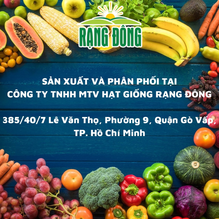 Hạt giống Rau củ quả trồng chậu, rau ăn lá, dây leo trồng quanh năm chịu nhiệt 4 mùa, nảy mầm tốt - Hạt giống Rạng Đông