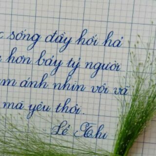 Bút siêu thanh đậm T04